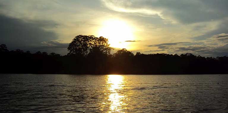 A free flowing Amazon river system will help guarantee the well-being of the region’s aquatic wildlife and the stability of freshwater commercial fisheries. Photo by Peter Angritt licensed under the Creative Commons Attribution-Share Alike 4.0 International license.