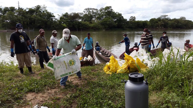 At least 23 species of fish and other aquatic life were among the dead specimens collected from the La Pasión River, according to Guatemalan government authorities. Photo courtesy of El Informante Petenero.