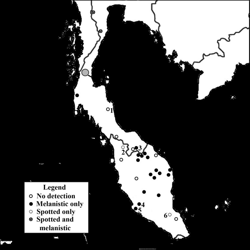 Map of Peninsular Malaysia and Southern Thailand showing the detection of spotted and/or melanistic leopard. Photo courtesy of Cedric Tan Kai Wei.