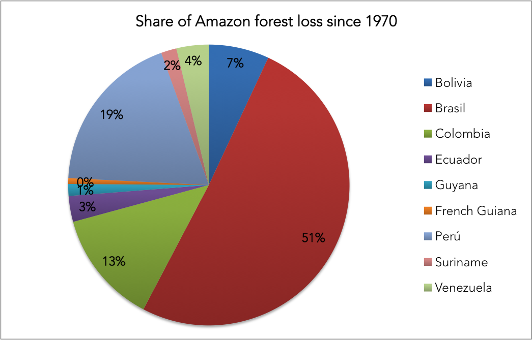 Chart showing share of Amazon forest loss since 1970