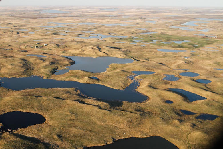  Aerial view of the Prairie Pothole Region, a huge swathe of grassland and shallow lakes that extends north and west from Iowa into Canada. USDA grants funded a project in North Dakota paying landowners not to develop their land as a way to preserve habitat and keep carbon locked away in the soil. To offset its greenhouse gas emissions, automaker Chevrolet bought tens of thousands of carbon credits from the project as part of a fledgling market for grassland carbon credits. Photo courtesy of USDA Natural Resources Conservation Service.