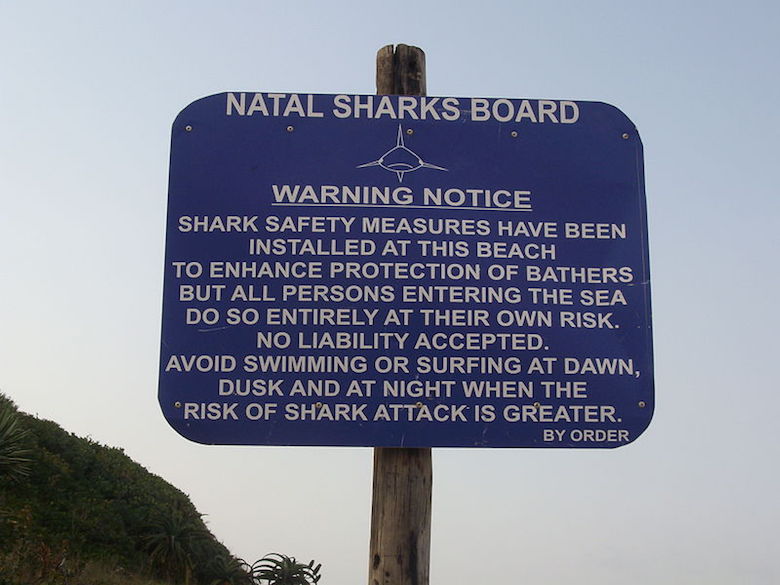 A sign warns swimmers about the presence of sharks at a beach in Salt Rock, South Africa. Photo by ChrisDHDR/Wikimedia Commons. 