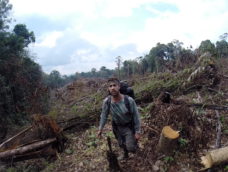 Cameras set in this patch of forest in Kerinci Seblat National Park were lost when it was illegally cleared just weeks later. In this photo Matthew Luskin is taking coordinates for a report to the National Park. Photo by Matthew Luskin / NGS.