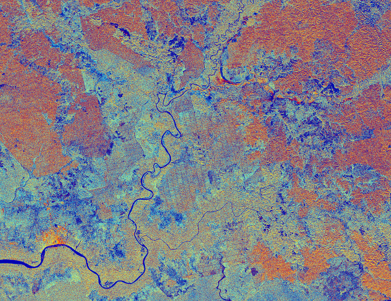 The port town of Sampit (bright orange in lower left), the Sampit River, and surrounding oil palm plantations and peat swamp in Indonesia’s Central Kalimantan province. A European Space Agency satellite captured the image on March 22. Image courtesy of Copernicus data (2015)/ESA.