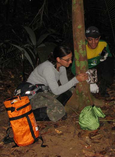 Maíra Benchimol with a field assistant deploying a camera trap on a surveyed island. Photo by Maíra Benchimol 