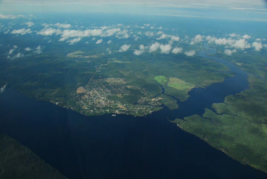 Aerial view of Novo Airão county, in Negro River, where the Brazilian NGO FVA has been working since 1996. Photo courtesy of FVA.