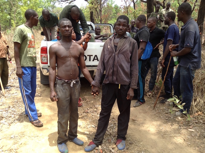 Two locals arrested while poaching inside Gashaka-Gumti National Park. by Lawal Sani Kona. 