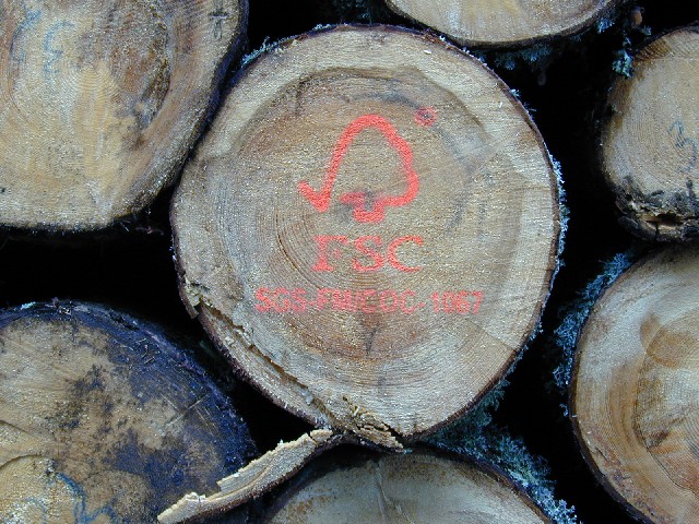 A Forest Stewardship Council mark indicates a log has met the organization's standards for sustainable and ethical sourcing. Photo by Gerhard Elsner/Wikimedia Commons. 