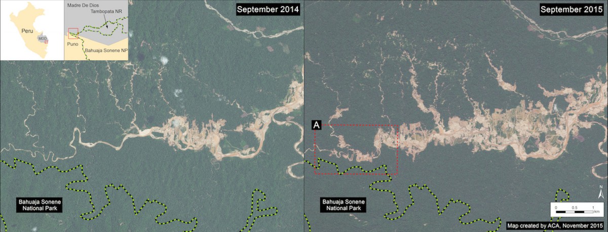 Gold mining-caused deforestation between September 2014 and 2015 along the Upper Malinowski River. Image courtesy of MAAP.