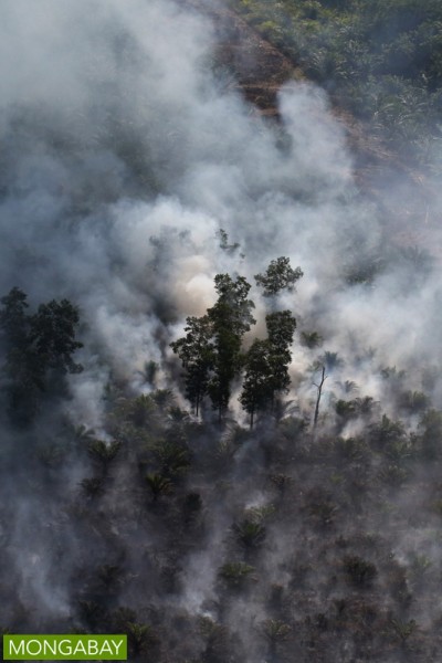 A peatland burns in Indonesia's Riau province in 2015. Photo by Rhett A. Butler