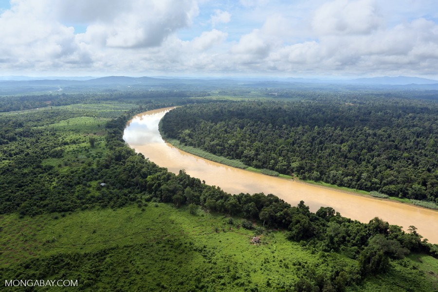 Deforestation for oil palm along this Kinabatangan River in Malaysian Borneo