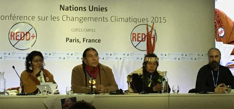 1)Tom Goldtooth, executive director of the Indigenous Environmental Network, speaking against REDD+ alongside other indigenous leaders at COP21. Photo by Roopali Phadke