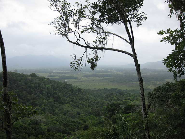 The Guyana rainforest: valuable to the Wapichan traditional lifestyle, to Amazon biodiversity, and as a repository for carbon as a hedge against escalating climate change. Photo: Wikimedia Commons. Permission granted to copy, distribute and/or modify this document under the terms of the GNU Free Documentation License, Version 1.2 or later.