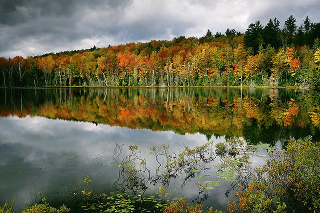 Hiawatha National Forest near Manistique, Michigan, where Recreation Resource Management, a private company, manages campgrounds on federal land. Photo by Recreation Resource Management.