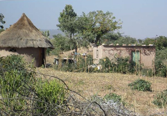 An ordinary homestead in Mukada village near the Marange diamond fields. Photo by CRD.