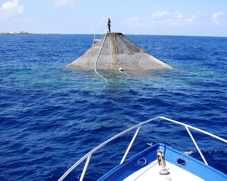 A submersible aquaculture cage sits at the surface for cleaning and inspection. Photo by NOAA Fisheries. 