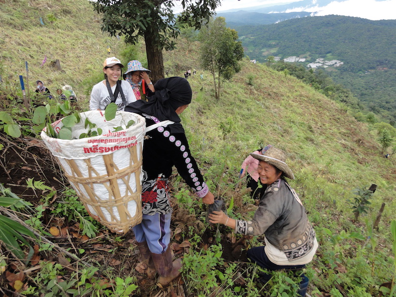 A woman distributes trees from her basket to restore a steep forest in Thailand’s Chiang Mai Province in 2011. Photo by S. Elliott. 