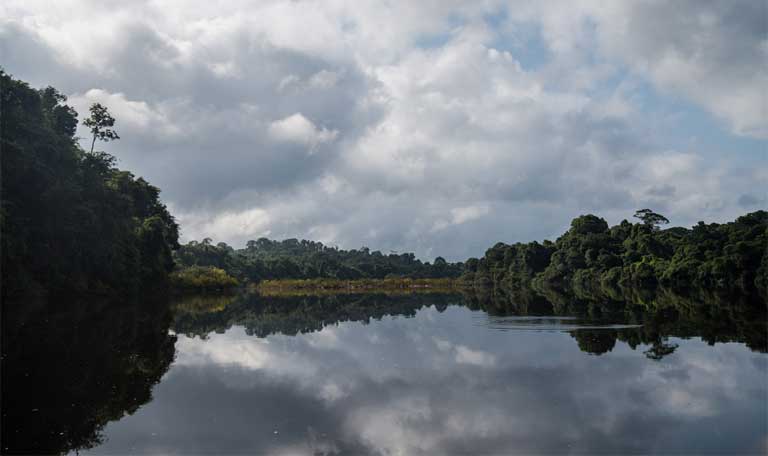 The Iriri River in the Amazon basin, site of the town of Maribel, and of the sustainable family-run Brazil nut mini-factory and the unsustainable ghost ranch of Julio Vito Pentagna Guimarāes. Photo by Mauricio Torres.