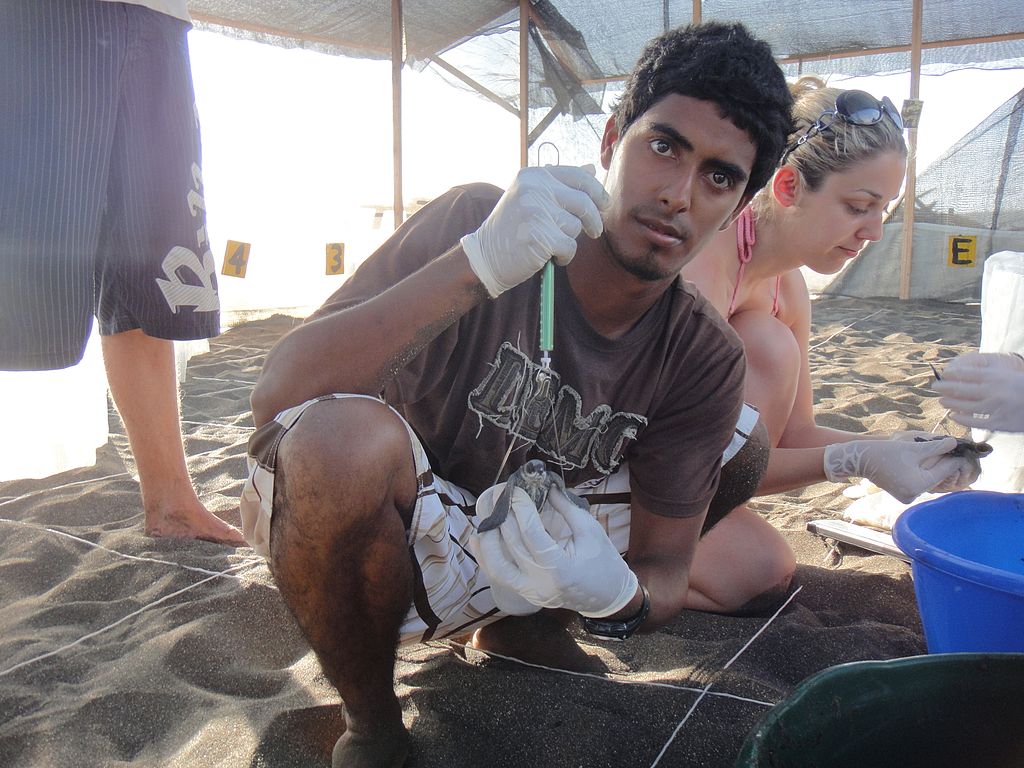 Environmentalist Jairo Mora Sandoval in the hatchery of the Ostional beach Leatherback and Pacific Green Sea Turtle Project, another project he worked for, with fellow volunteers. Photo by Christine Figgener, Wikimedia Commons, CC By-SA 3.0.