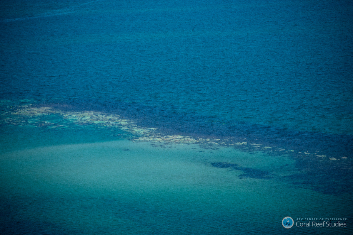Extensive coral bleaching along a swathe of Australia’s Great Barrier Reef. Photo by ARC Centre of Excellence for Coral Reef Studies / Terry Hughes.