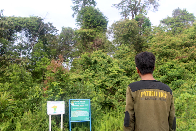 One of PT Kayung Agro Lestari’s forest patrol officers stands at the edge of one of the company’s high conservation value forests in West Kalimantan.