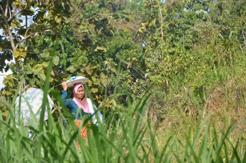 An indigenous Enrekang woman traverses the forest, considered a sacred space. Photo by Wahyu Chandra/Mongabay