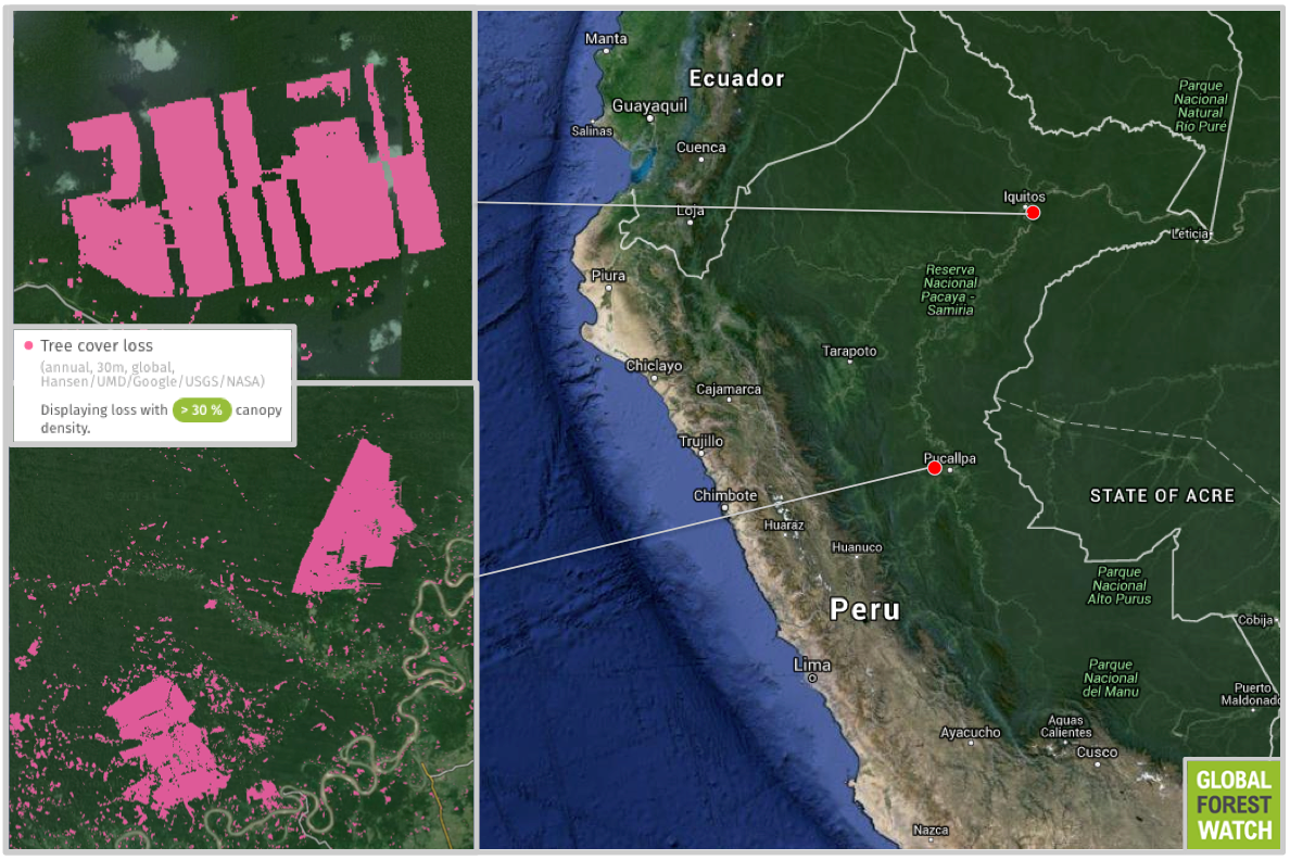 United Cacao's major projects in Peru include a cacao plantation in the north and two palm oil plantations in the midsection of the country. Tree cover loss shown from 2010 through 2014; image courtesy of Global Forest Watch.