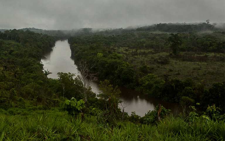 The Tapajós River and its tributaries possess one of the most diverse ecosystems in the Amazon. Photo by Lilo Clareto/Repórter Brasil