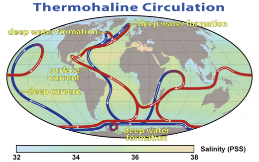 1024px-Thermohaline_Circulation_2