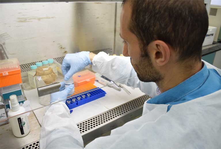 Zika studies in the Institute of Biomedical Sciences of the University of São Paulo's molecular evolution and bioinformatics laboratory. Photo by Juliane Duarte/ICB-USP