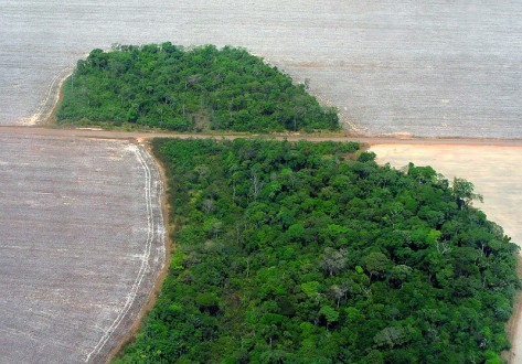 800px-Mato_Grosso_deforestation_(Pedro_Biondi)_12ago2007