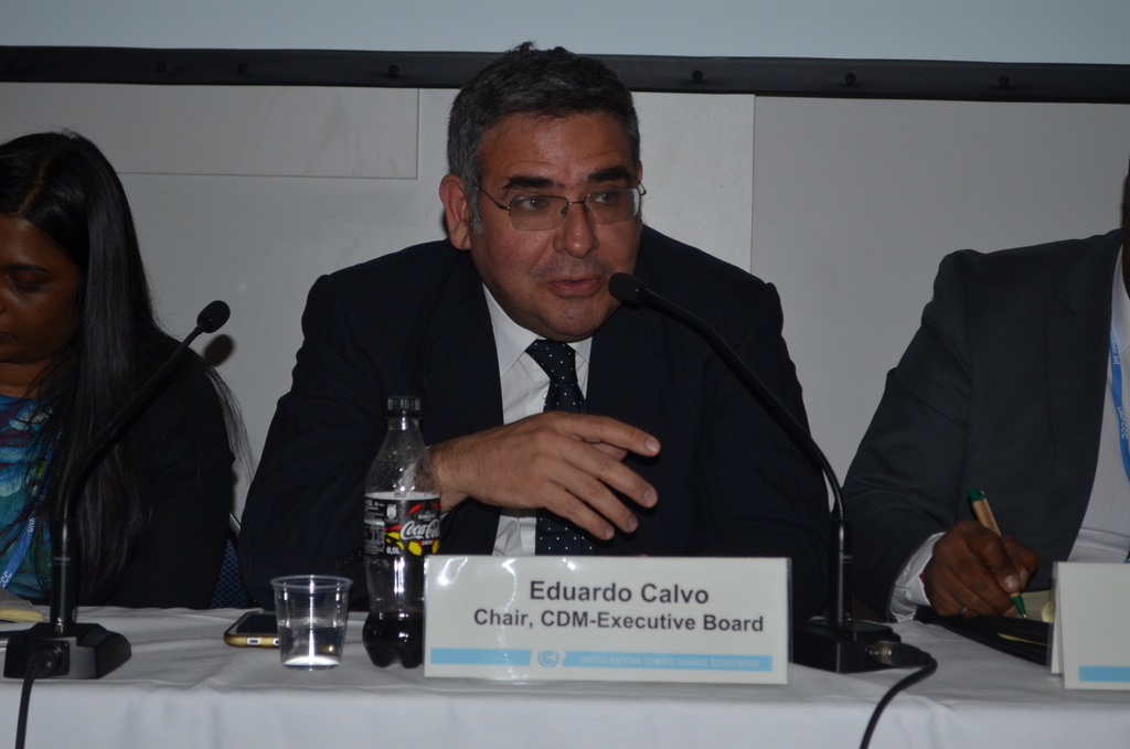 Eduardo Calvo of Peru, the CDM executive director for 2016. Photo by Justin Catanoso