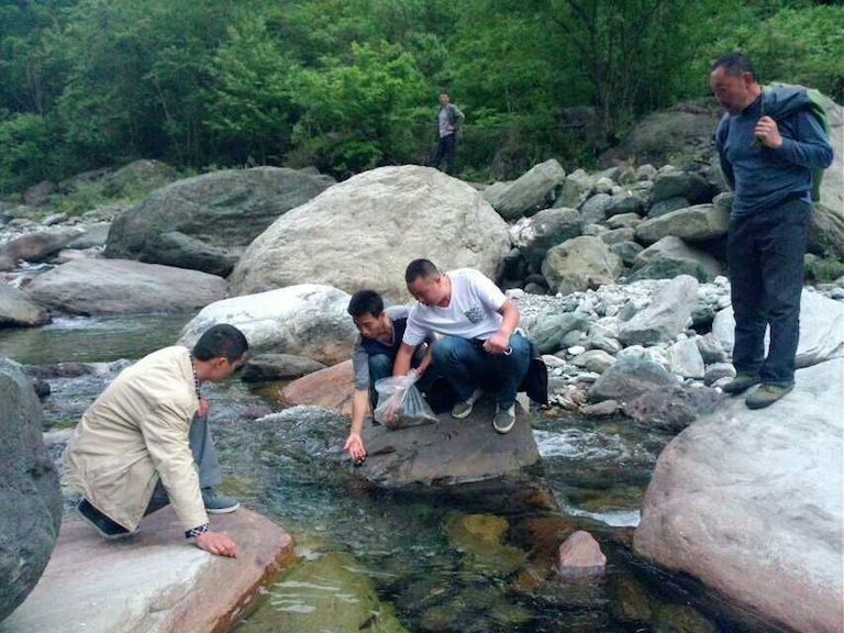 Guanba villagers release fish fry into the Guanba River in summer 2013. The village’s effort to restore a local catfish species is paying off, with the number of fish rising. Photo Courtesy of Guanba village.