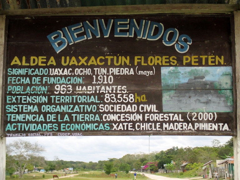 Uaxactún and other community forest concessions face an uncertain future, as their contracts have not yet been extended or renewed. Photo by Sandra Cuffe.