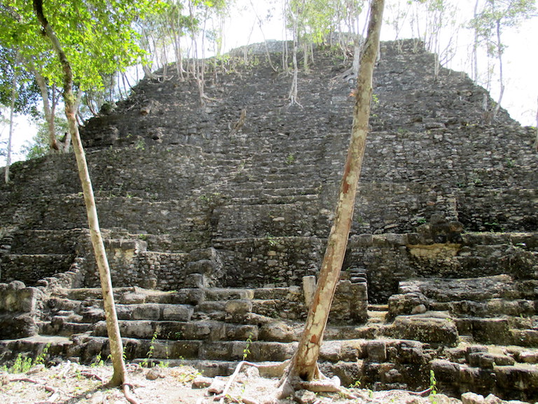The La Danta pyramid in the ancient Mayan city of Mirador. Its very top rises above the forest canopy in the Mirador-Rio Azul National Park. Photo by Sandra Cuffe.