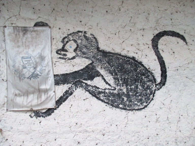 A faded fabric Guatemalan coat of arms hangs next to a painting of a spider monkey on the wall of one of the little buildings used by Carmelita community guides at Mirador. Photo by Sandra Cuffe.