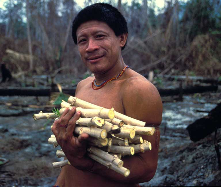 The Arara were a peaceful nomadic people who wandered so freely they did not have a word in their language for "village." Photo © John Miles / Survival International (http://www.survivalinternational.org)