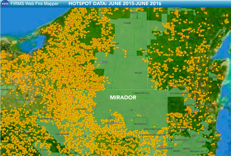 NASA fire data for the region, shows a dramatic difference in the incidence of burning inside and outside of forest areas. Courtesy of NASA.