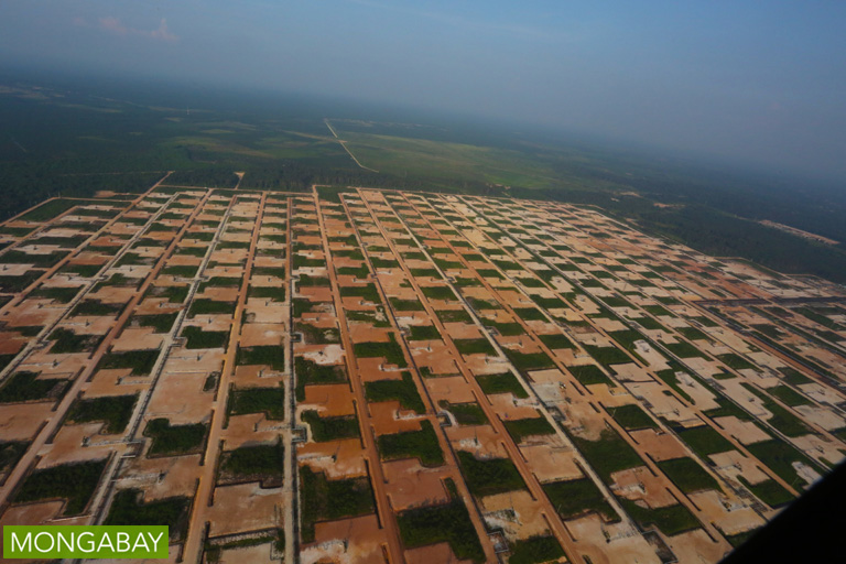 Oil and gas fields in Riau Province. Photo by Rhett A Butler