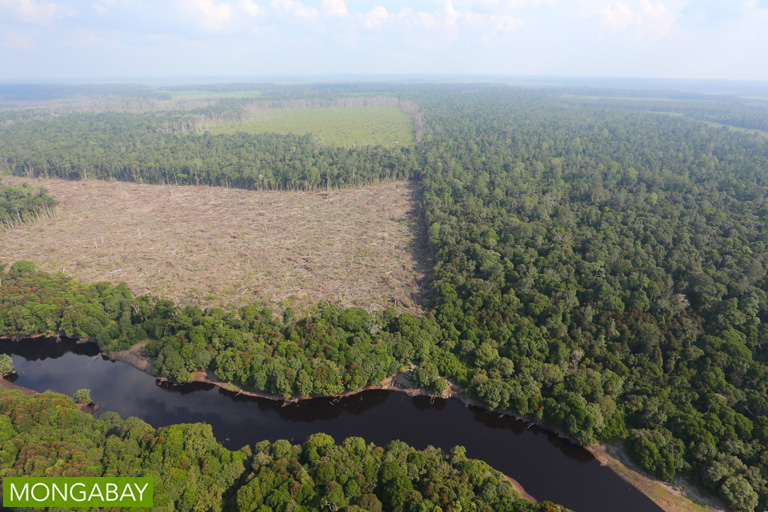 Illegal forest clear for oil palm in Riau Province. Photo by Rhett A Butler