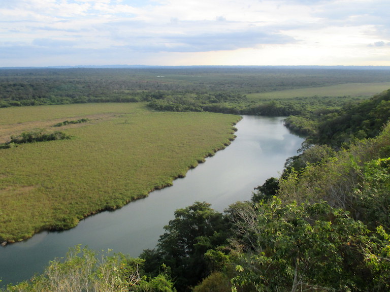 The San Pedro River marks the southern border of the Laguna del Tigre National Park. An oil palm plantation across the river in the Maya Biosphere Reserve's buffer zone lies in the background. Photo by Sandra Cuffe.