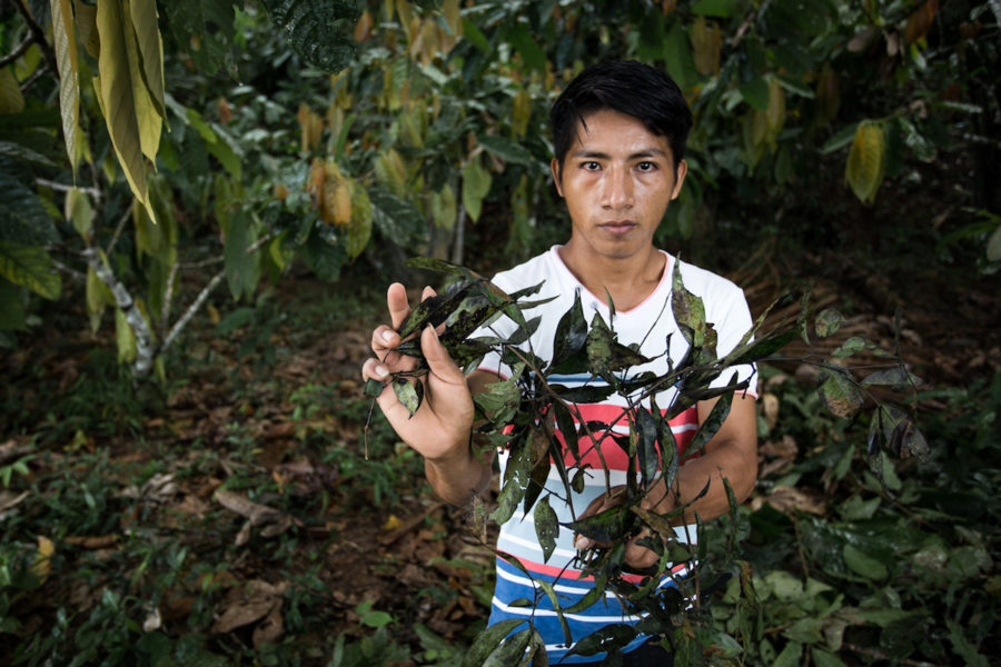 Jusoe Esash Unum holds leaves covered in crude oil taken from the shore of the Marañon River. Photo by Brett Monroe Garner.