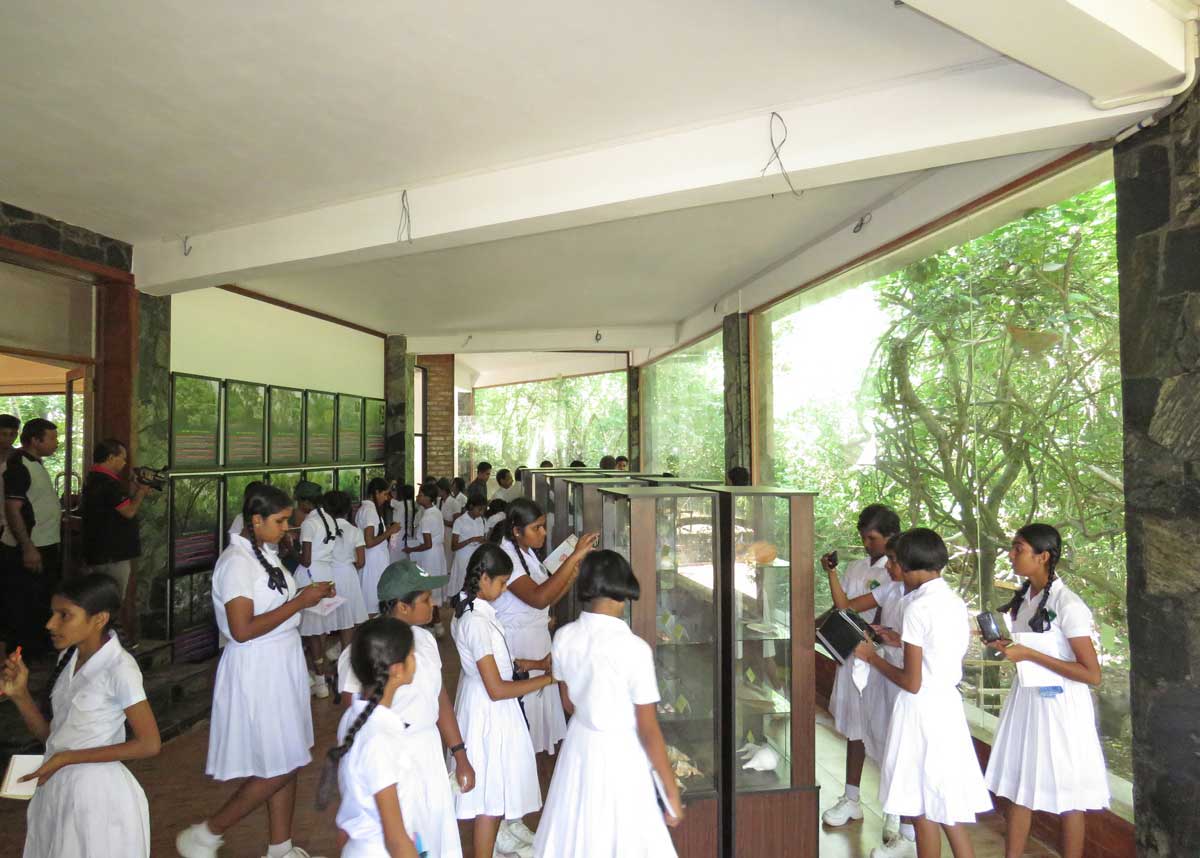 Children visit the new mangrove museum. Photo courtesy of Seacology