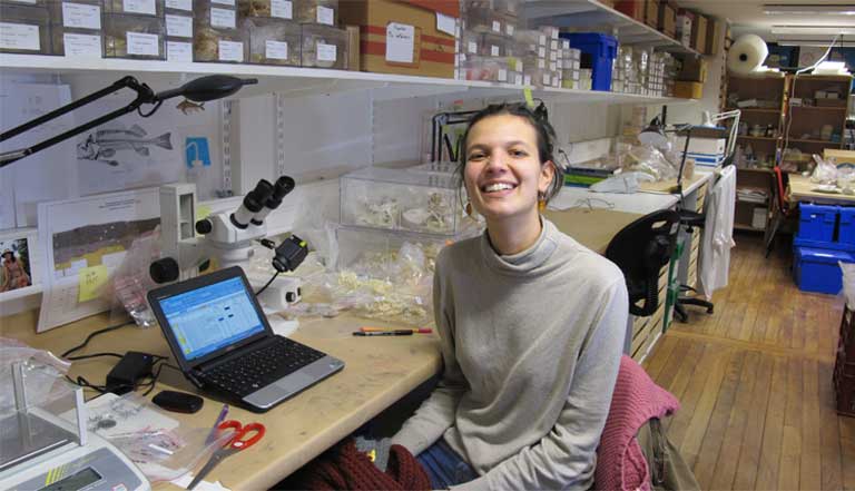 Study leader Gabriela Prestes-Carneiro surrounded by the clutter of her fieldwork at the Laboratory of Zooarchaeology of the Natural History Museum, Paris. Prestes-Carneiro hopes that studying past settlements, and what appear to be their sustainable fishing practices, could be illuminating for present-day sustainable resource use in the Amazon. Photo courtesy of Gabriela Prestes-Carneiro