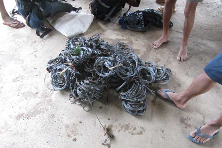 Confiscated bear snares. Sun bears are illegally trafficked for their gall bladders, which provide bear bile to China and other countries for traditional medicine. Lorraine Scotson / Free the Bears