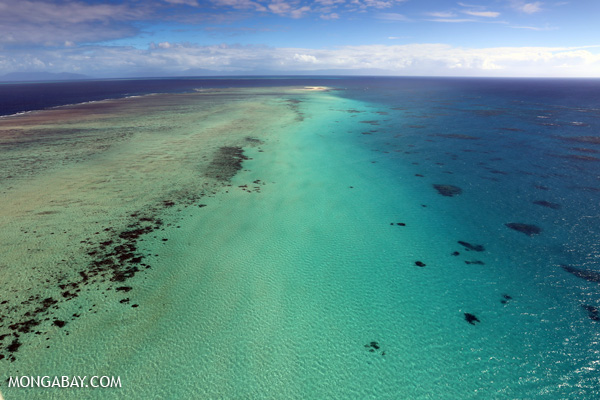Australia's Great Barrier Reef, the scene of disastrous coral bleaching this year. Photo by Rhett A. Butler