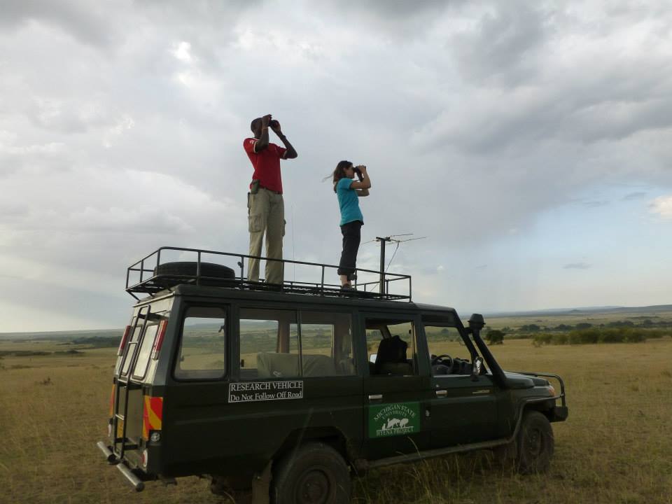 In the field, spotting for spotted hyenas, Julia Greenberg (right) and research assistant Wilson Kilong (left). Photo courtesy of the MSU Mara Hyena Project