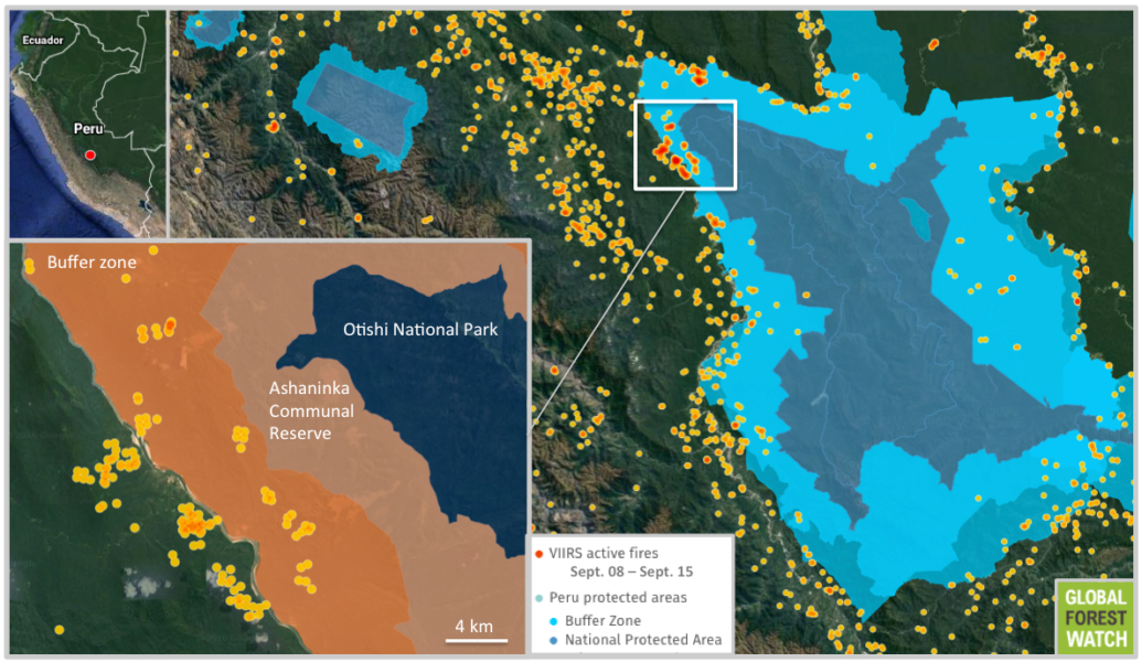 Data from NASA displayed on the forest monitoring platform Global Forest Watch (GFW) show fires approaching the Ashaninka Communal Reserve and Otishi National Park. By September 15, the fires had moved within two kilometers of the reserve and five kilometers of the national park. 