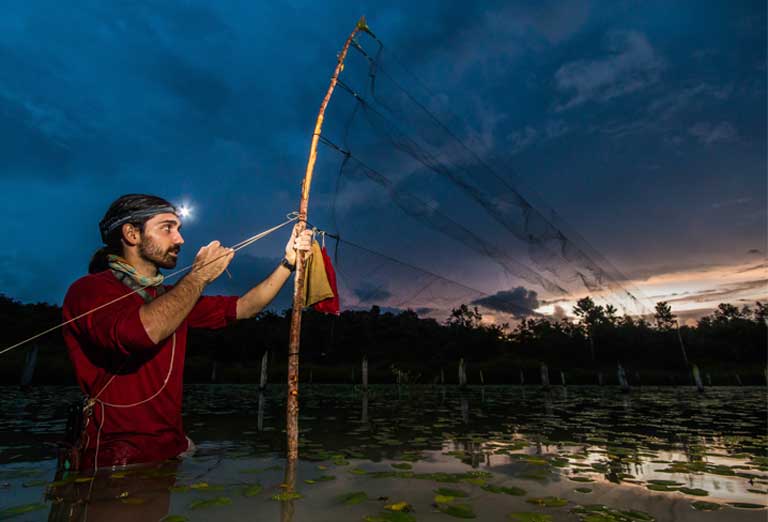Mist-nets were even set in the middle of lakes in order to target particular species, and as a result, the researchers had close encounters with anaconda, tapir, and caiman during their time in the field. Photo © Oriol Massana & Adrià López-Baucells