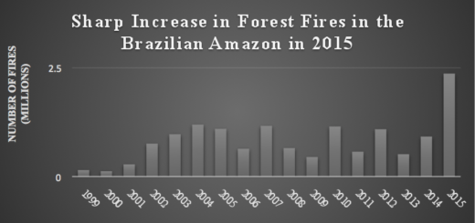 Sharp increase in forest fires in the Brazilian Amazon in 2015